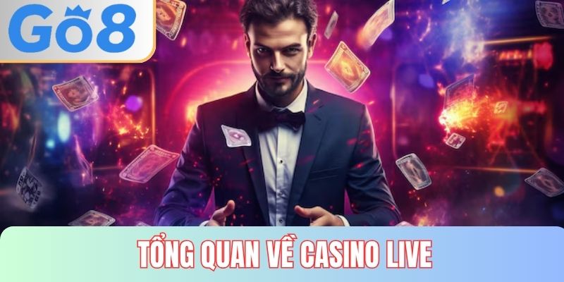 Tổng quan về casino live