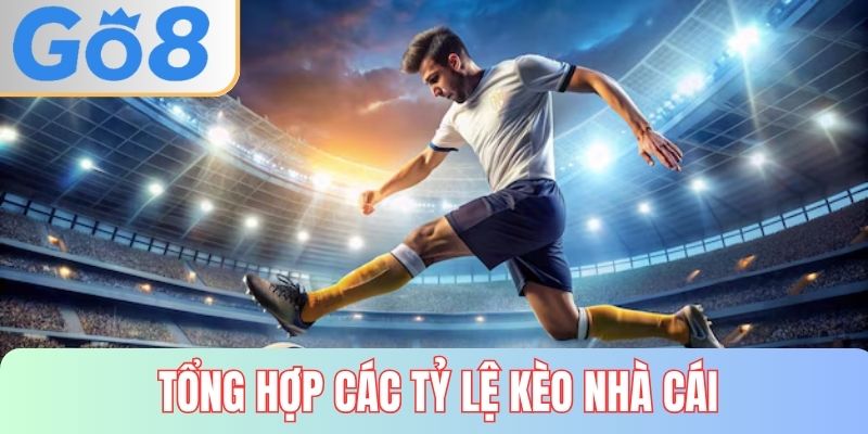 Tổng hợp các tỷ lệ loại kèo nhà cái hiện nay